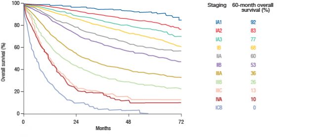 staging-of-lung-cancer-the-8th-tnm-classification-memoinoncology