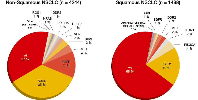Figure: Gene alterations in non-squamous and squamous NSCLC