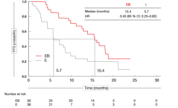 Figure 4: Marked reduction in the risk of progression and death with erlotinib plus bevacizumab compared to erlotinib alone in patients with pleural and/or cardiac effusion