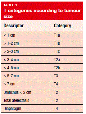 T categories according to tumour size