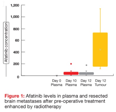 Afatinib levels in plasma and resected brain metastases after pre-operative treatment enhanced by radiotherapy