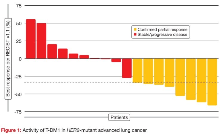 Activity of T-DM1 in HER2-mutant advanced lung cancer