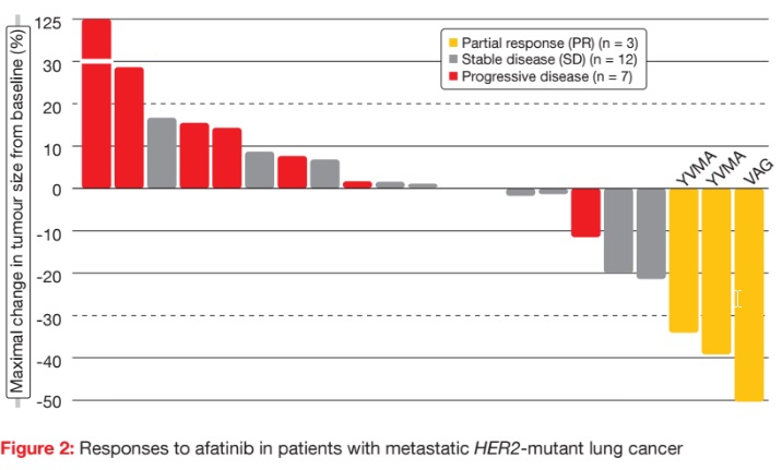 Responses to afatinib in patients with metastatic HER2-mutant lung cancer