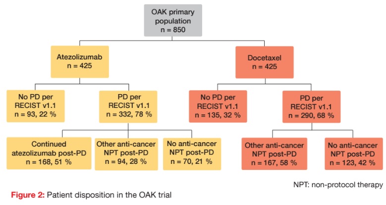 Patient disposition in the OAK trial
