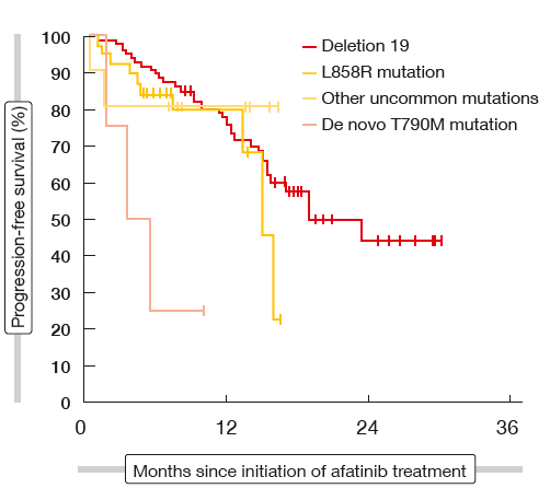 Figure 2: Activity of afatinib in patients with common and uncommon EGFR mutations