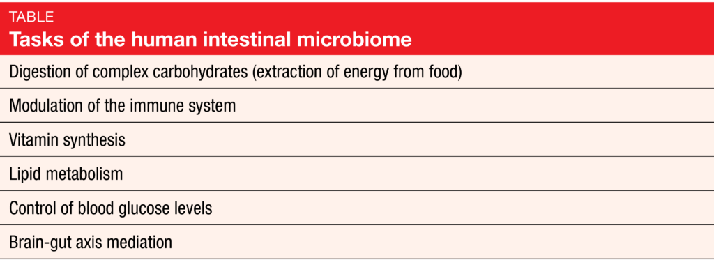 Task of the human intestinal microbiome
