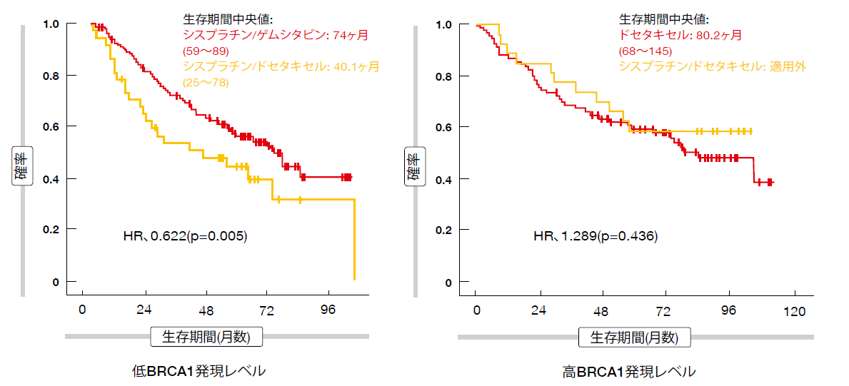 図：SCAT試験: 複数の治療群におけるBRCA1サブグループ別の無再発生存率