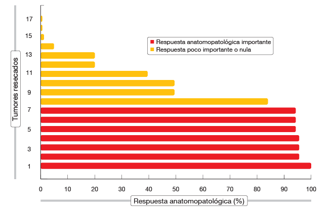 Figura 4: Respuestas anatomopatológicas de los tumores de 17 pacientes con CPNM incipiente después de la administración neoadyuvante de dos dosis de nivolumab