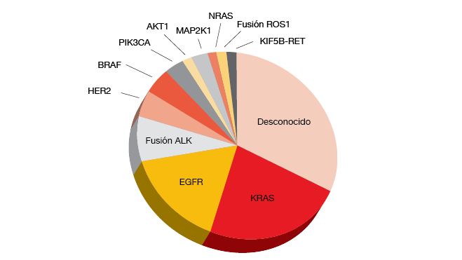 Figura: Molecular subsets of adenocarcinoma of the lung