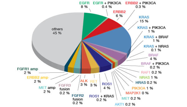 Precision medicine in the field of lung cancer in Japan - memoinOncology