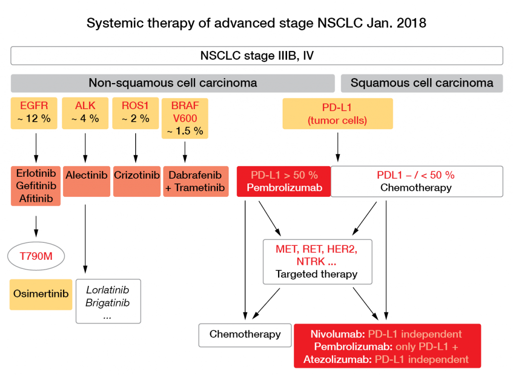 Figure 4: Systemic therapy of advanced stage NSCLC as of January 2018. Courtesy of J. Wolf.