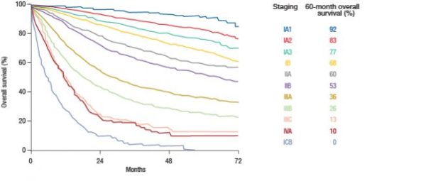 Staging of lung cancer: the 8th TNM classification - memoinOncology