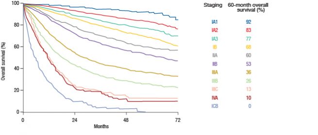 Figure: Overall survival according to the 8th Edition IASCL staging proposals [2]