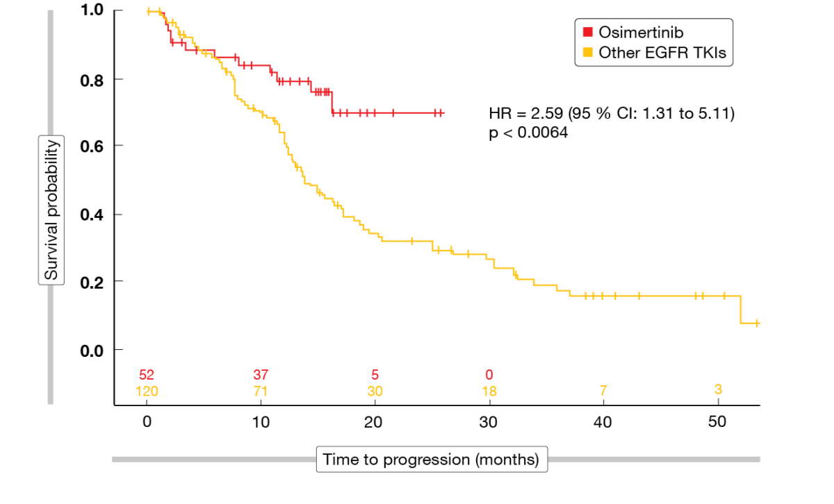 Specific Treatment Approaches In The Egfr Mutated Setting Memoinoncology