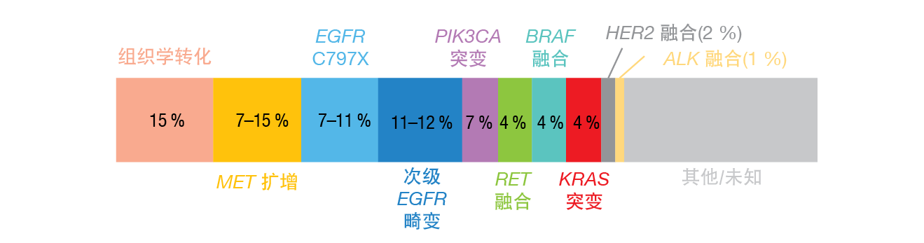 Graph 3