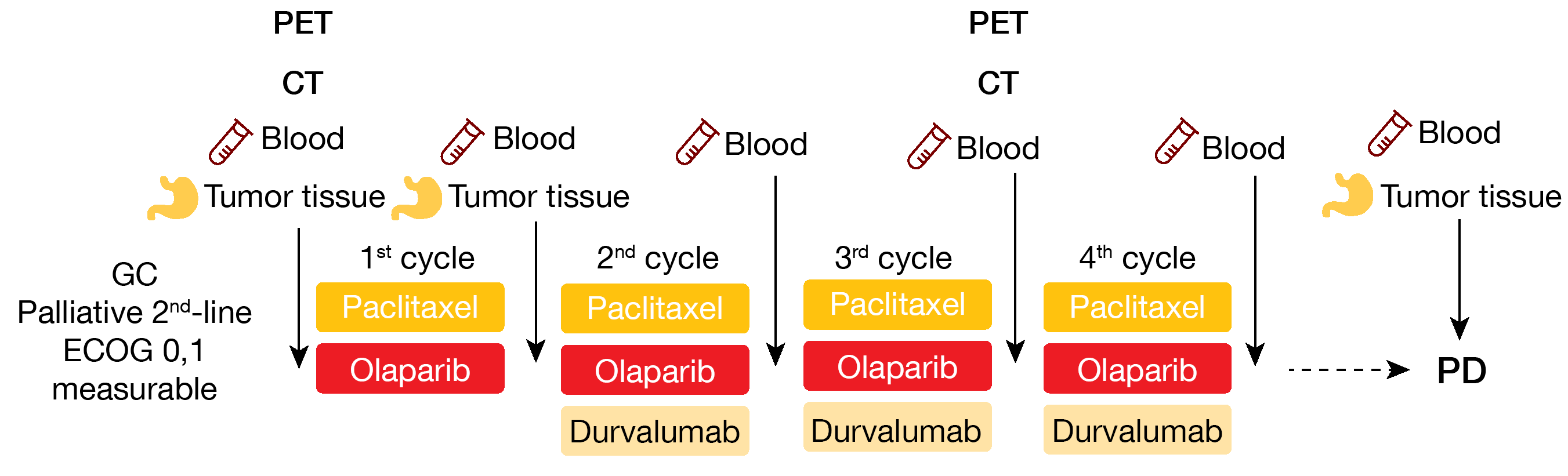 Figure 2: Study design of durvalumab combined to olaparib and paclitaxel