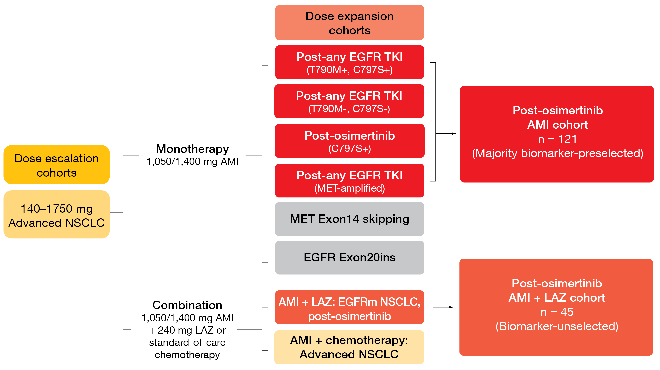 Figure 3: Design of the CHRYSALIS trial investigating amivantamab (AMI) alone and in combination with lazertinib (LAZ)