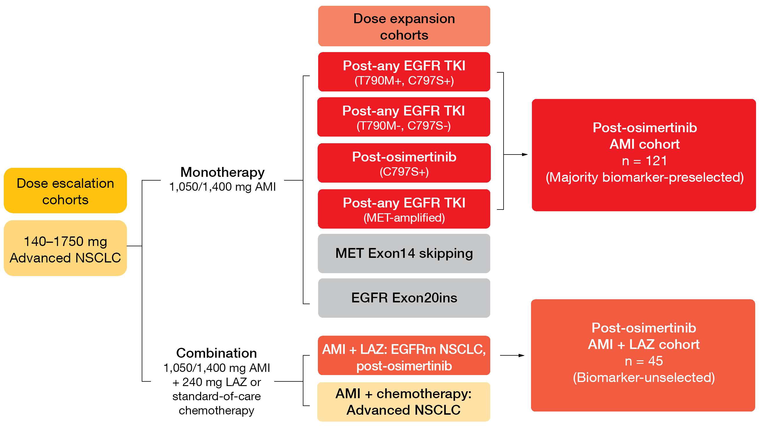 Figure 3: Design of the CHRYSALIS trial investigating amivantamab (AMI) alone and in combination with lazertinib (LAZ)