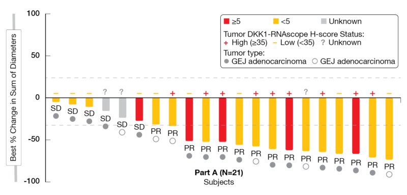 Figure 4: DisTinGuish Trial: best overall response by PD-L1 and DKK-1 Expression. CPS: visually-estimated combined positive score of PD-L1.