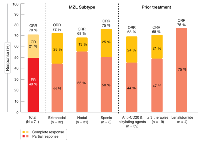 Figure: Responses to umbralisib plus ublituximab: overall, according to MZL subtype and according to prior treatment