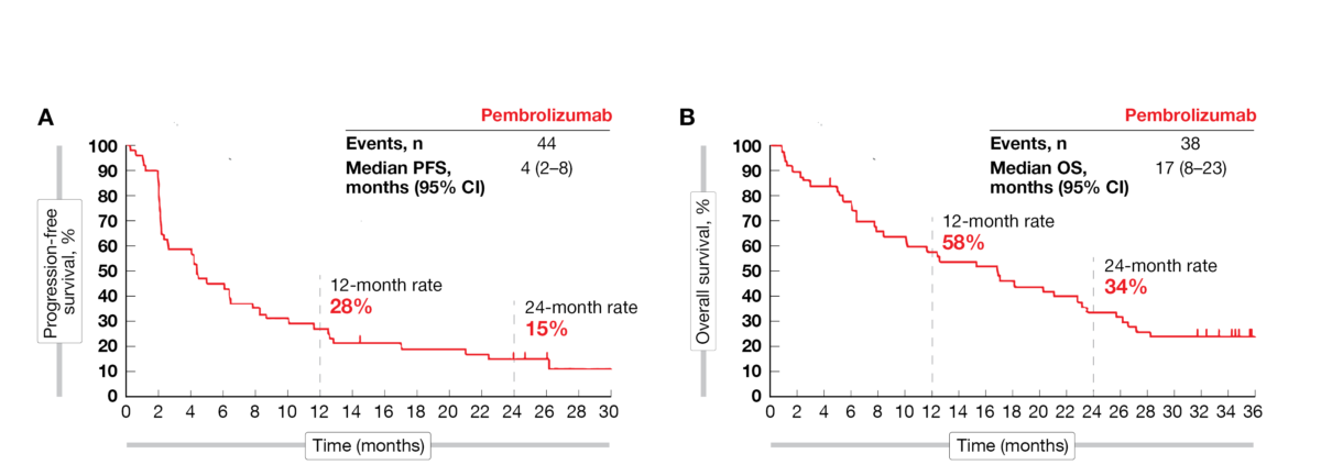 Figure 1: Progression-free survival (A) and overall survival (B) in the KEYNOTE-224 study (updated analysis).