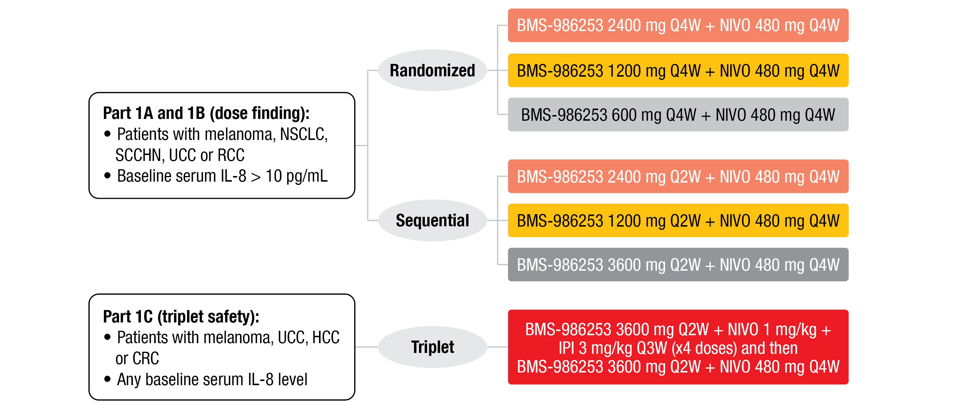 Figure 1: Design of the phase 1 trial evaluating BMS-986253 safety evaluation and dose exploration. IPI, ipilimumab; NIVO, nivolumab