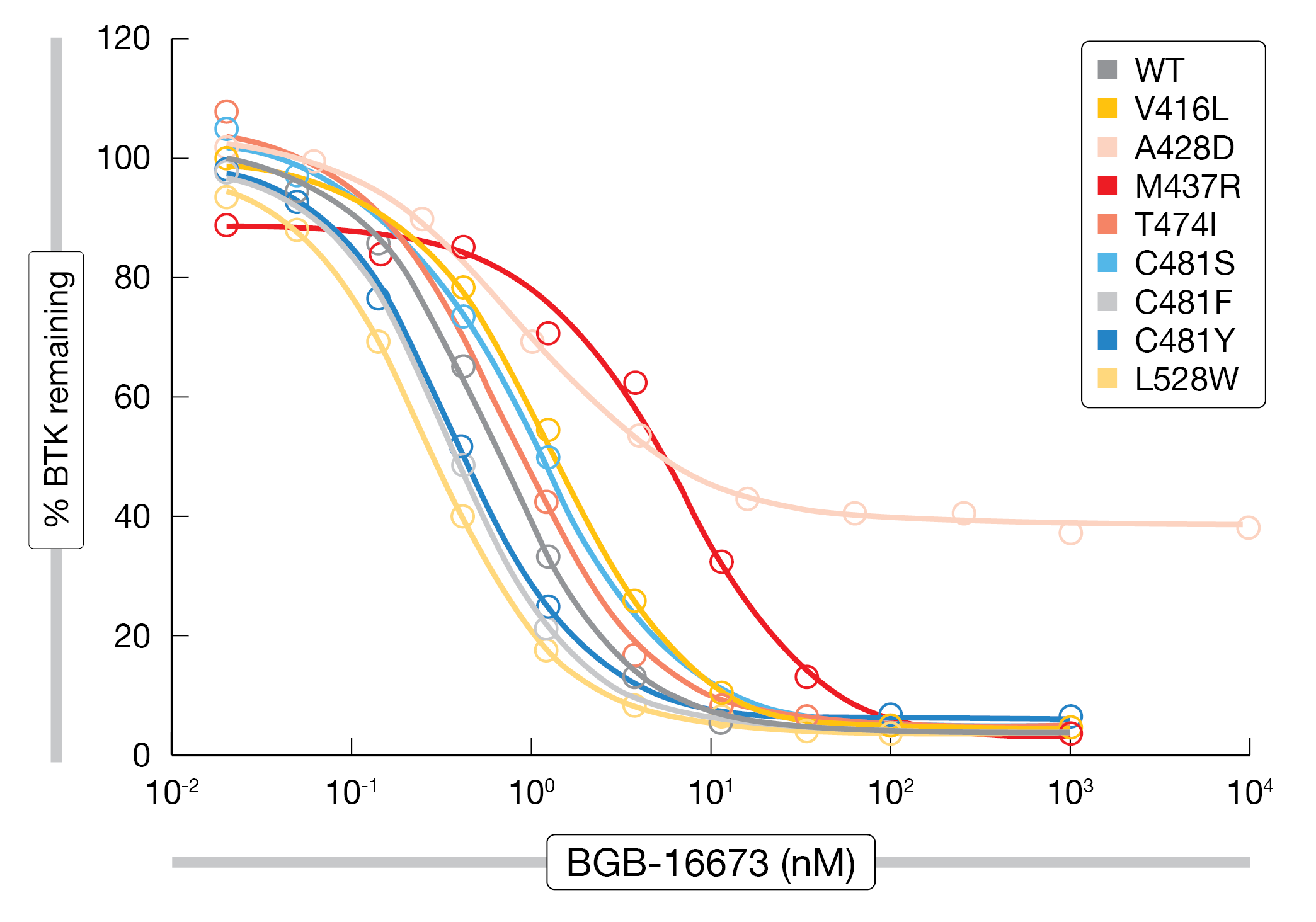 Figure 2: Degradation of BTK mutants by the BTK protein degrader BGB-16673