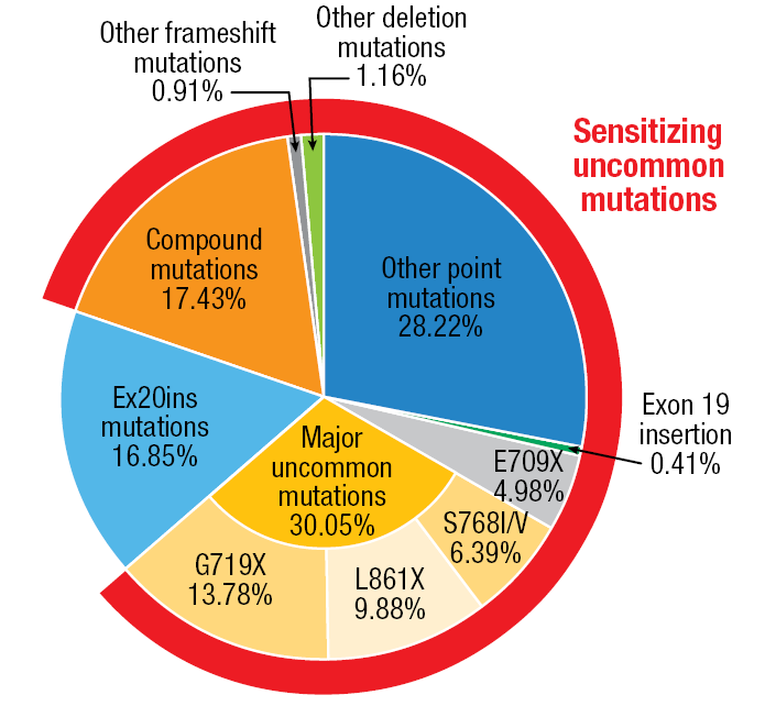 Figure 3: Sensitizing uncommon EGFR mutations: uncommon/compound mutations without exon 20 insertion and de-novo T790M mutation