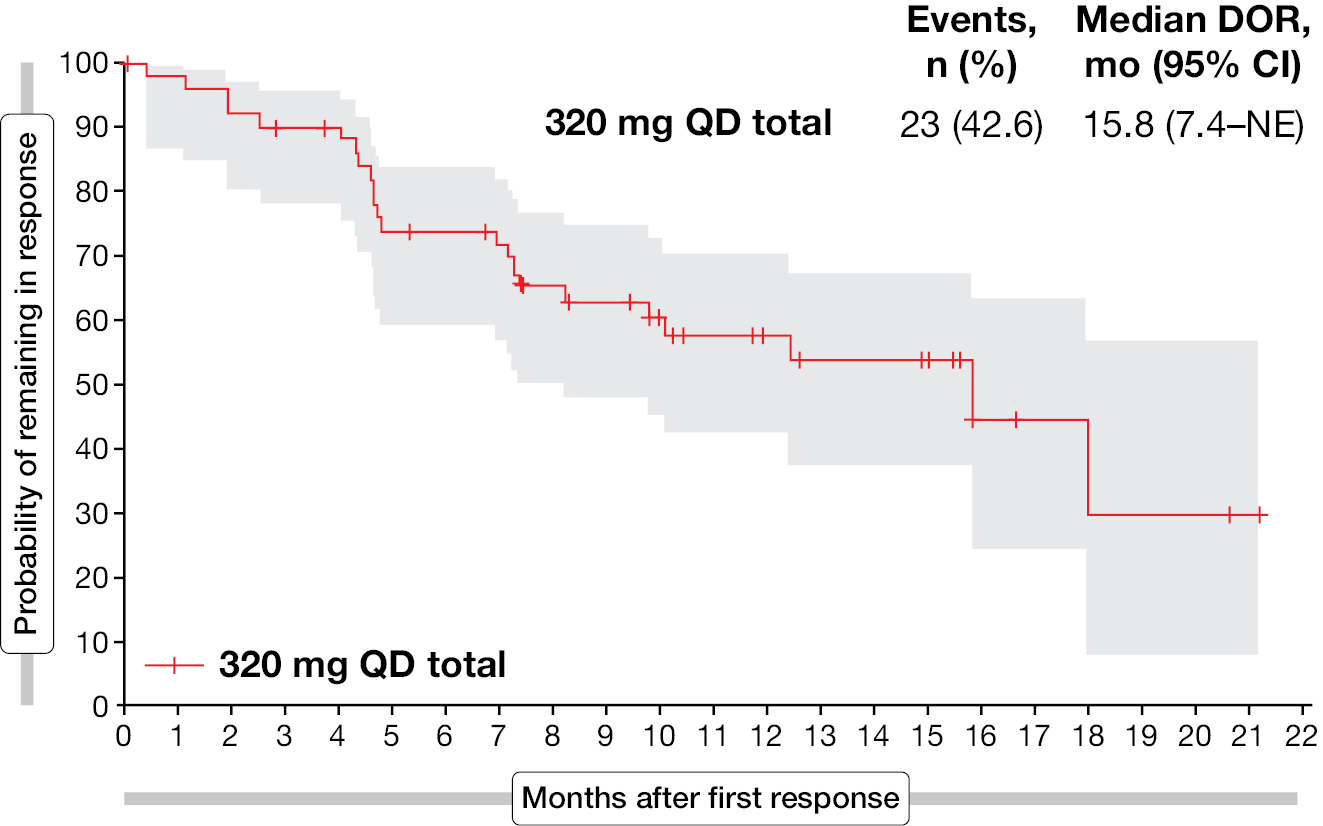 Figure 6: Probability of remaining in response for patients with partial and complete responses in the BGB-11417-201 clinical trial. CI, confidence interval; DOR, duration of response; NE, not evaluable; QD, once daily.