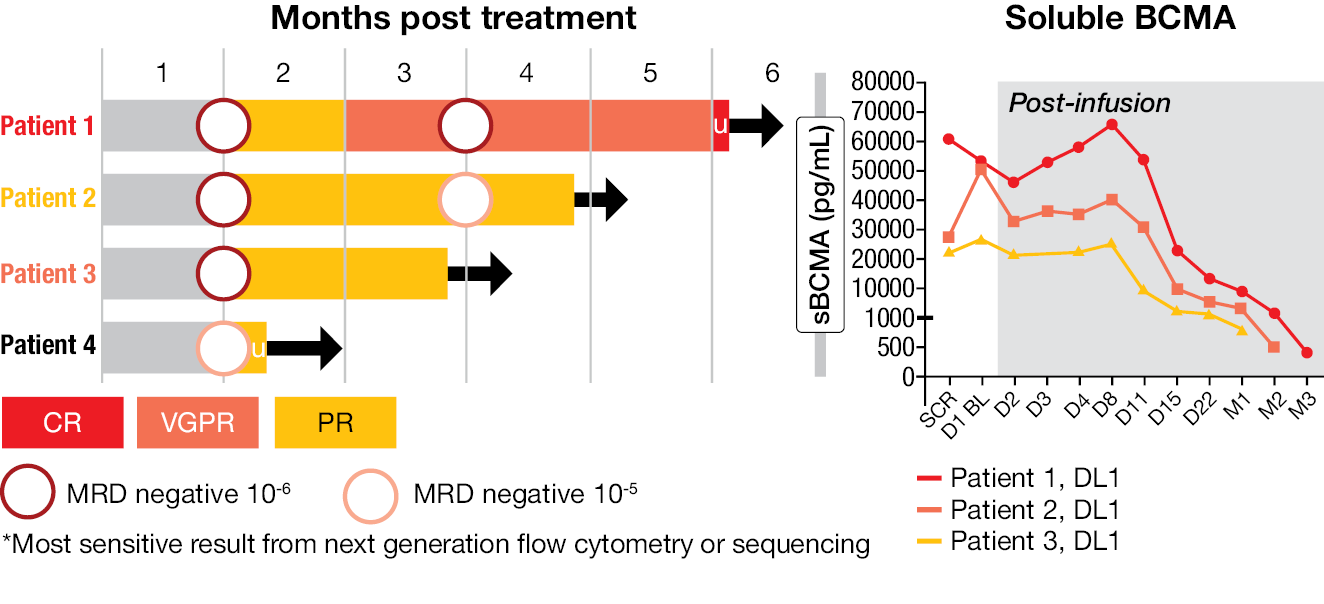 Figure 5: Ongoing responses in the four initial patients treated with KLN-1010 in the inMMyCAR trial. CR, complete response; DL, dose level; MRD, minimal residual disease; (VG)PR, (very good) partial response; sBCMA, soluble B-cell maturation antigen.